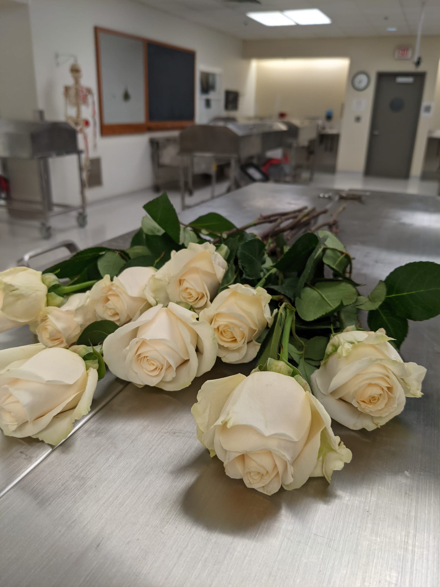 White roses laid on cadaver bay